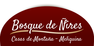 Bosque de Ñires, Casa de Montaña lago Meliquina