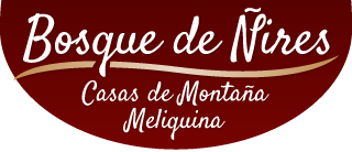 Bosque de Ñires, Casa de Montaña lago Meliquina